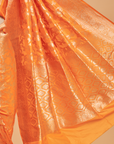 Orange Jaal  Saree in Silk