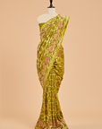 Olive Green Jaal Saree in Georgette